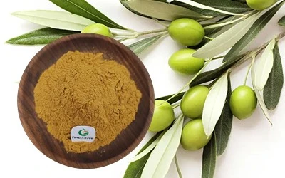 Olive Leaf Extract (1).jpg Olive Leaf Extract (1).jpg