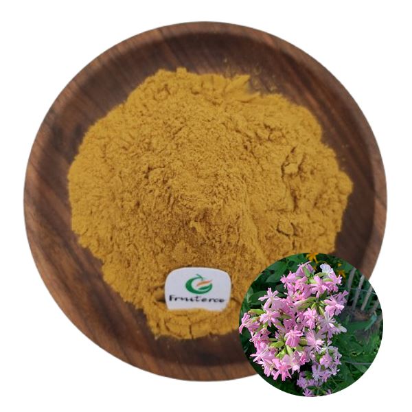 Saponaria officinalis抽出物